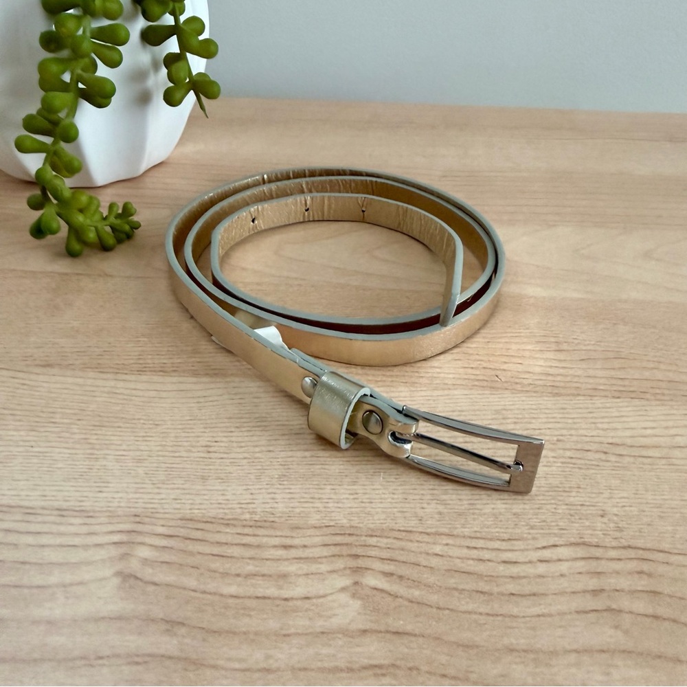 • metallic belt •